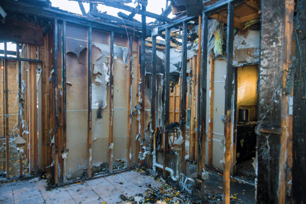 Professional Fire Damage Repair technician working in Ferndale, WA