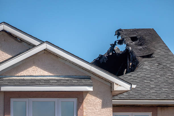 Top rated local Fire Damage Repair specialists in Ferndale, WA
